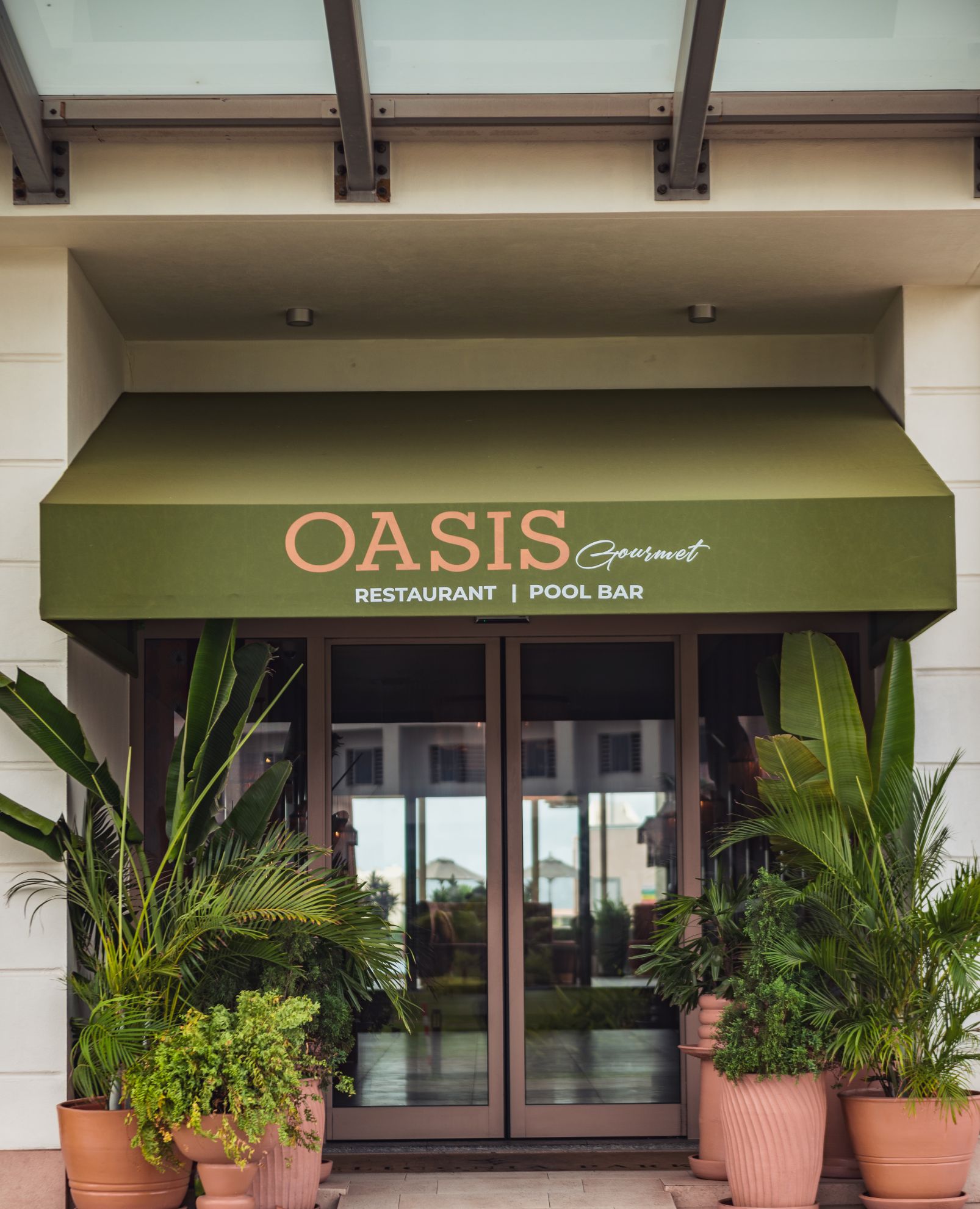 OASIS Experience